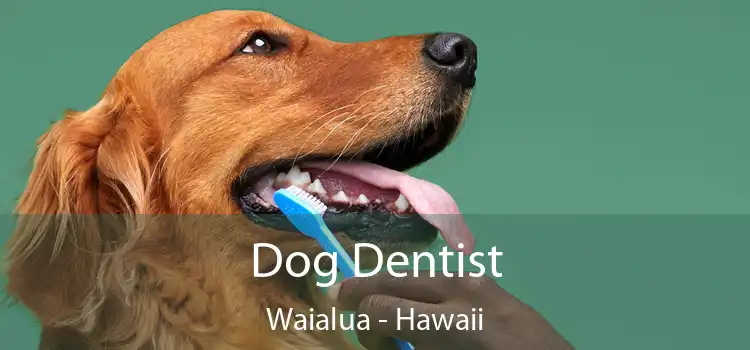 Dog Dentist Waialua - Hawaii