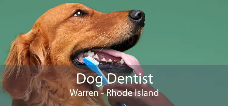 Dog Dentist Warren - Rhode Island