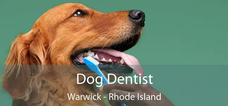 Dog Dentist Warwick - Rhode Island