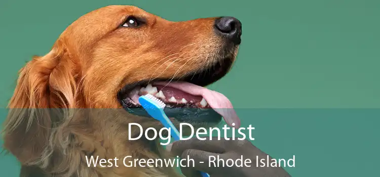Dog Dentist West Greenwich - Rhode Island