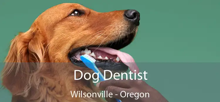 Dog Dentist Wilsonville - Oregon