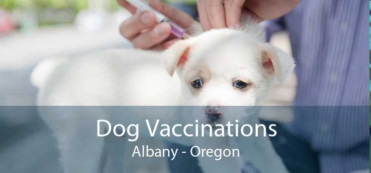 Dog Vaccinations Albany - Oregon