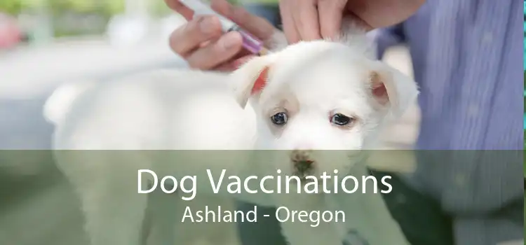 Dog Vaccinations Ashland - Oregon