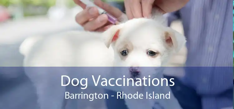 Dog Vaccinations Barrington - Rhode Island