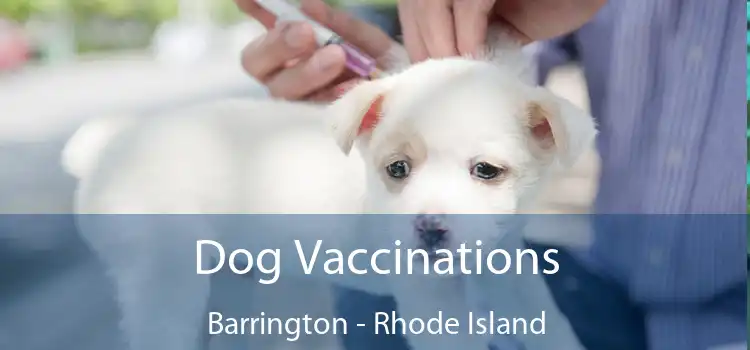 Dog Vaccinations Barrington - Rhode Island