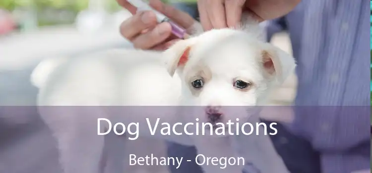 Dog Vaccinations Bethany - Oregon