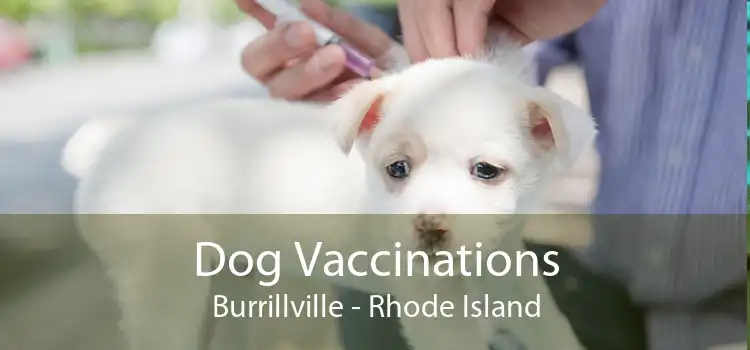 Dog Vaccinations Burrillville - Rhode Island