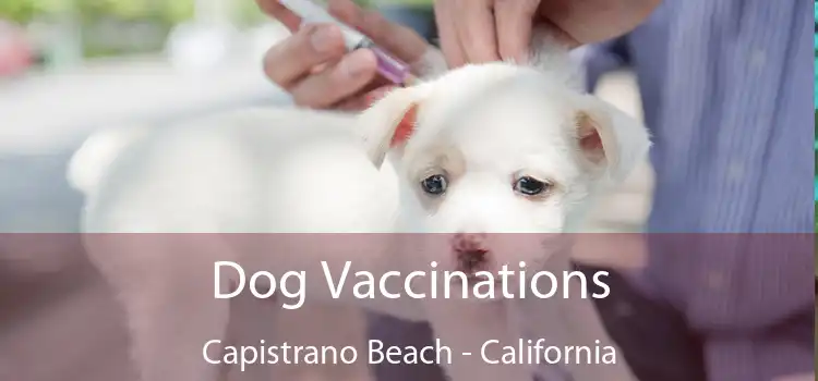 Dog Vaccinations Capistrano Beach - California