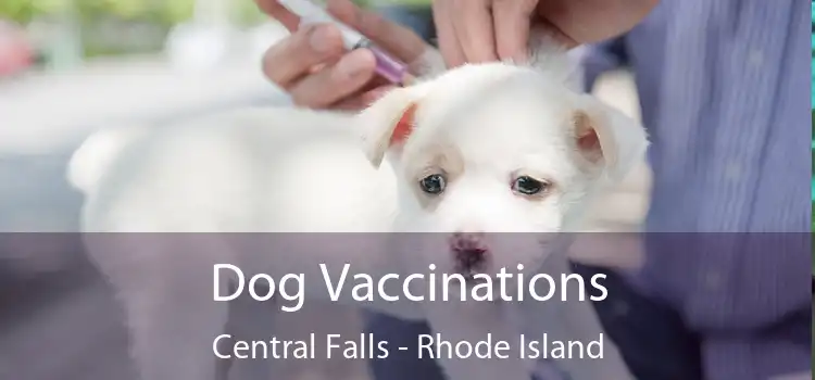 Dog Vaccinations Central Falls - Rhode Island
