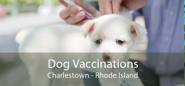 Dog Vaccinations Charlestown - Rhode Island