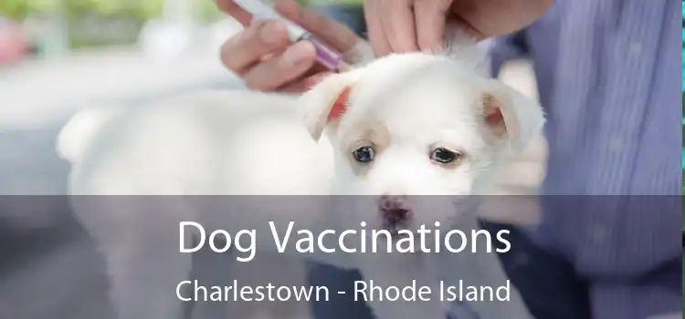 Dog Vaccinations Charlestown - Rhode Island
