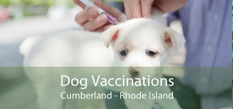 Dog Vaccinations Cumberland - Rhode Island