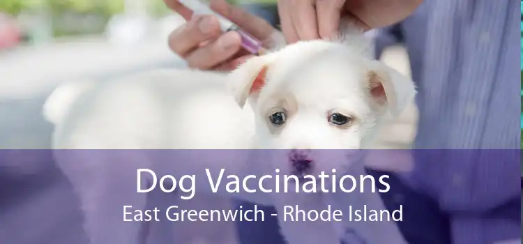 Dog Vaccinations East Greenwich - Rhode Island