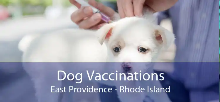 Dog Vaccinations East Providence - Rhode Island