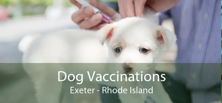 Dog Vaccinations Exeter - Rhode Island