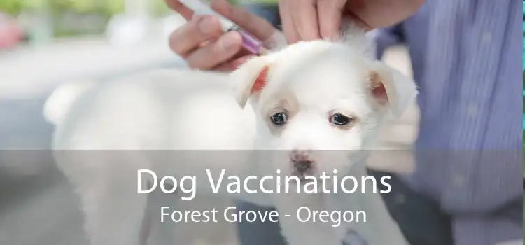 Dog Vaccinations Forest Grove - Oregon
