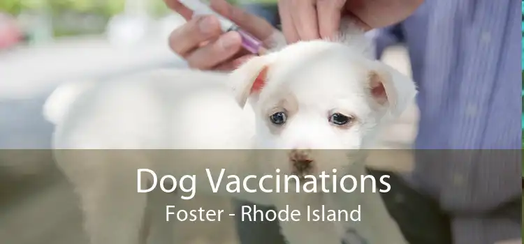 Dog Vaccinations Foster - Rhode Island