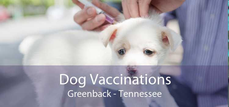 Dog Vaccinations Greenback - Tennessee