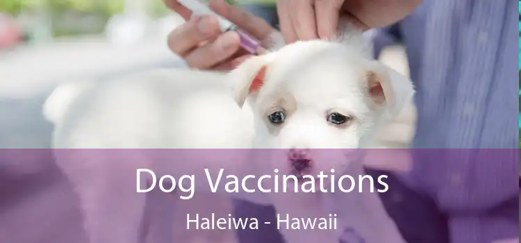 Dog Vaccinations Haleiwa - Hawaii