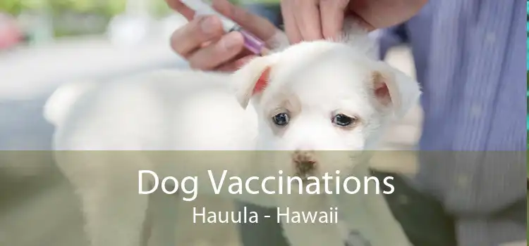 Dog Vaccinations Hauula - Hawaii