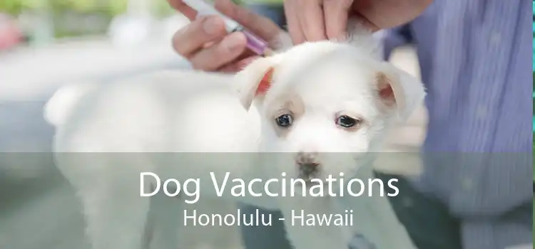 Dog Vaccinations Honolulu - Hawaii