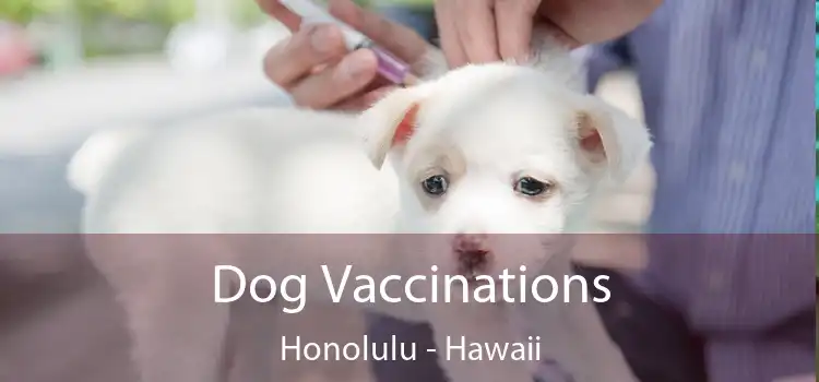 Dog Vaccinations Honolulu - Hawaii