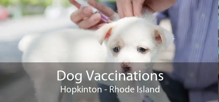 Dog Vaccinations Hopkinton - Rhode Island