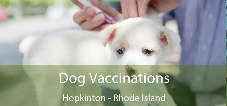 Dog Vaccinations Hopkinton - Rhode Island