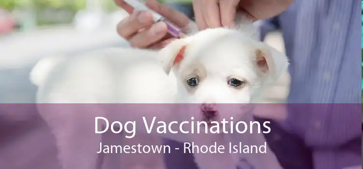 Dog Vaccinations Jamestown - Rhode Island