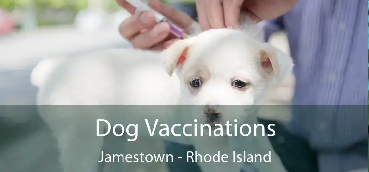 Dog Vaccinations Jamestown - Rhode Island