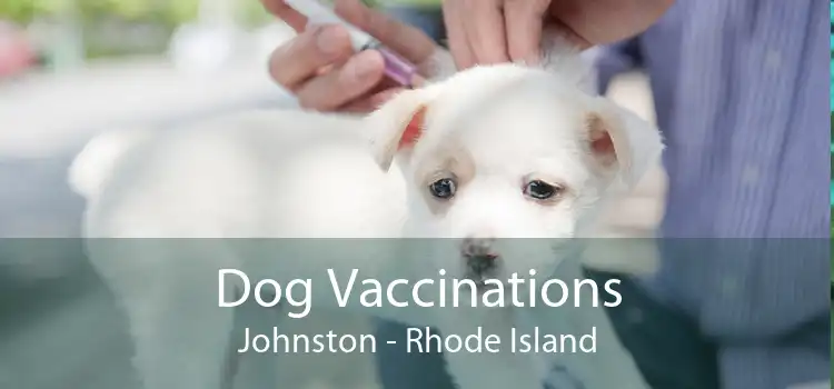 Dog Vaccinations Johnston - Rhode Island