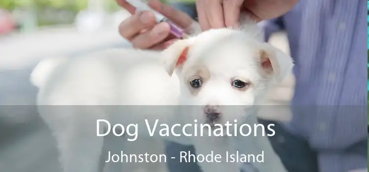 Dog Vaccinations Johnston - Rhode Island