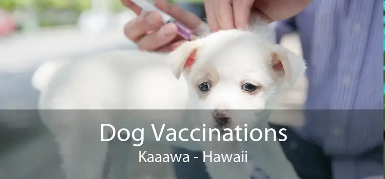 Dog Vaccinations Kaaawa - Hawaii