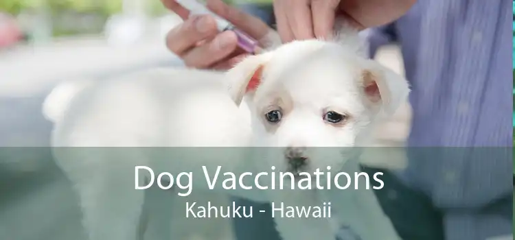 Dog Vaccinations Kahuku - Hawaii