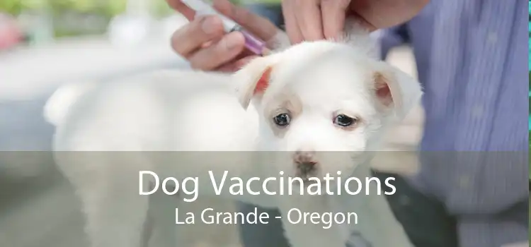 Dog Vaccinations La Grande - Oregon