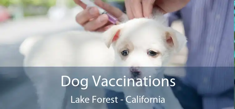 Dog Vaccinations Lake Forest - California