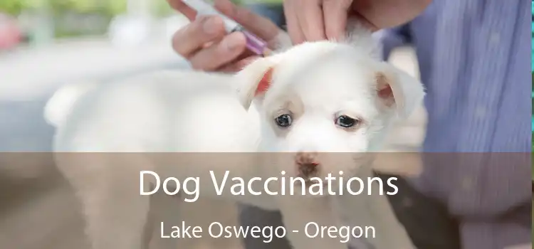 Dog Vaccinations Lake Oswego - Oregon