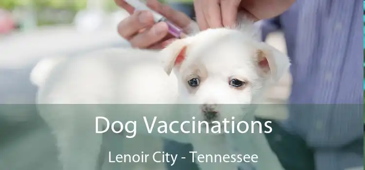 Dog Vaccinations Lenoir City - Tennessee