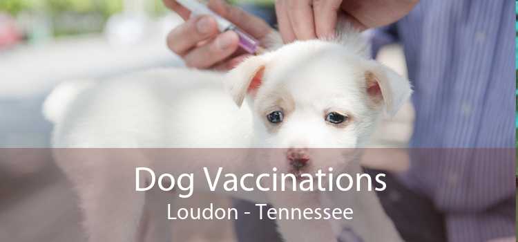 Dog Vaccinations Loudon - Tennessee