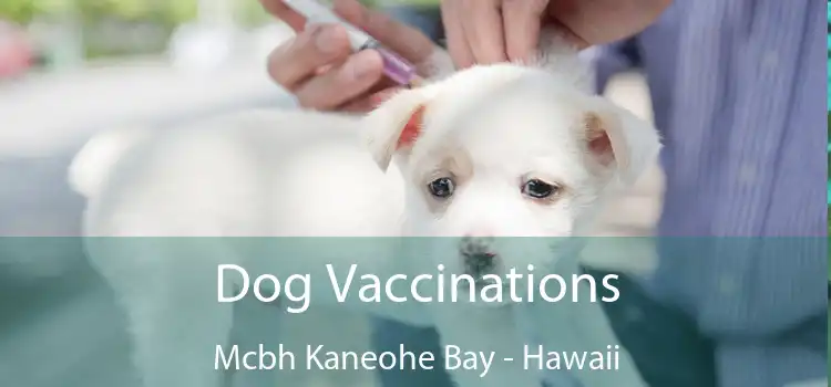 Dog Vaccinations Mcbh Kaneohe Bay - Hawaii