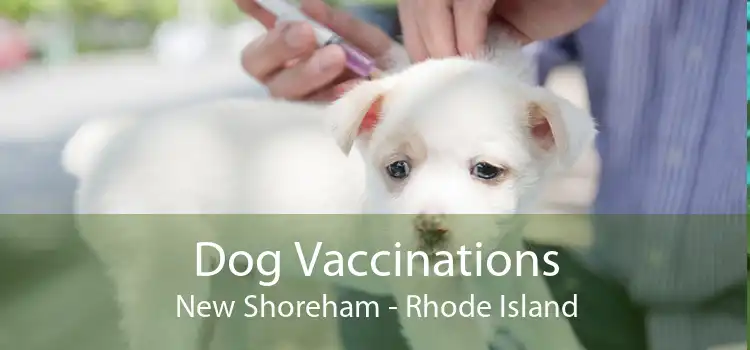 Dog Vaccinations New Shoreham - Rhode Island
