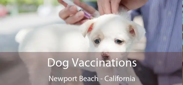 Dog Vaccinations Newport Beach - California
