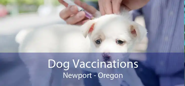 Dog Vaccinations Newport - Oregon