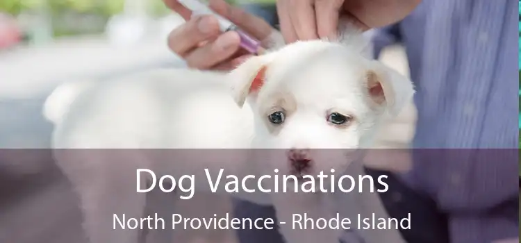 Dog Vaccinations North Providence - Rhode Island