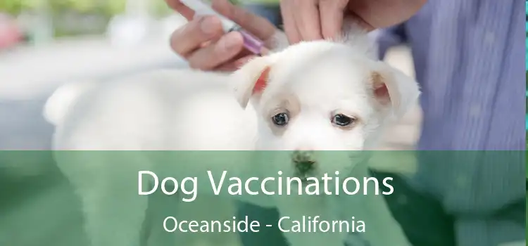 Dog Vaccinations Oceanside - California