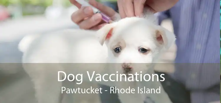 Dog Vaccinations Pawtucket - Rhode Island