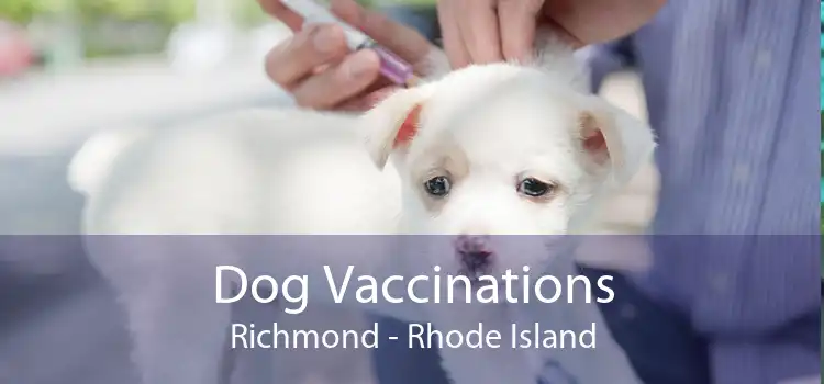Dog Vaccinations Richmond - Rhode Island