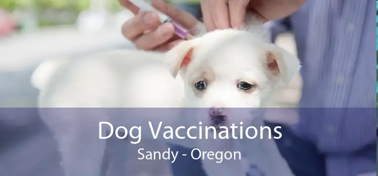 Dog Vaccinations Sandy - Oregon