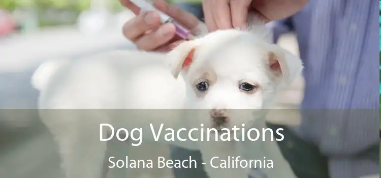 Dog Vaccinations Solana Beach - California