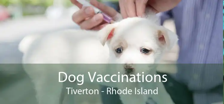 Dog Vaccinations Tiverton - Rhode Island